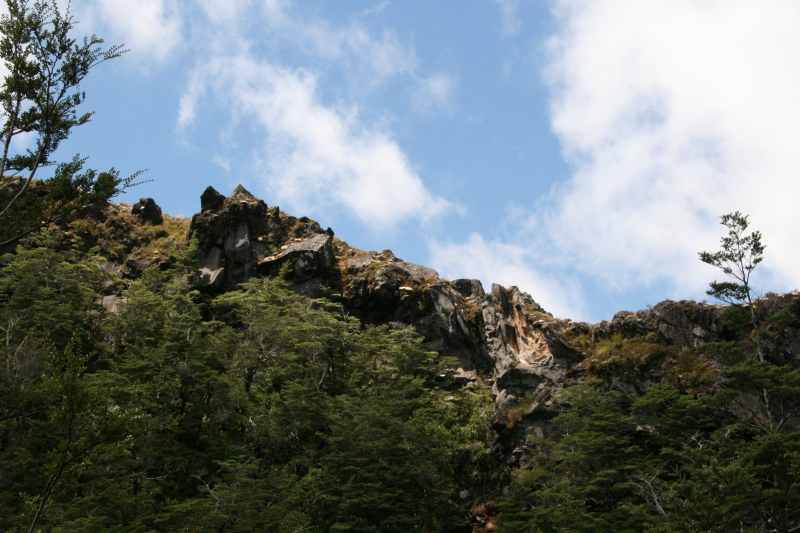 Nieuw-Zeeland 2011 - 0843